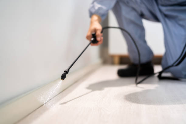 Licensed Mosquito Control service in Georgetown, DE - Show Me Pest Control