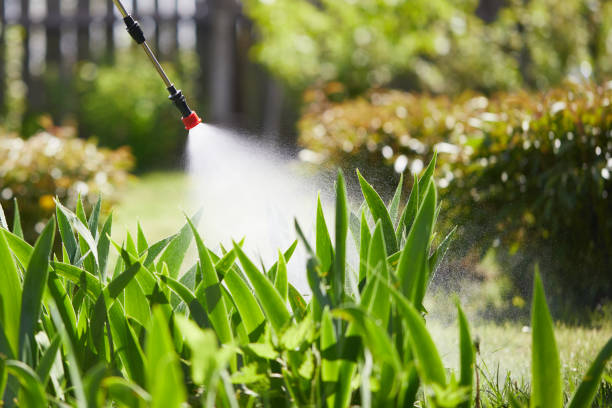 24/7 Emergency Mosquito Control experts in Georgetown, DE