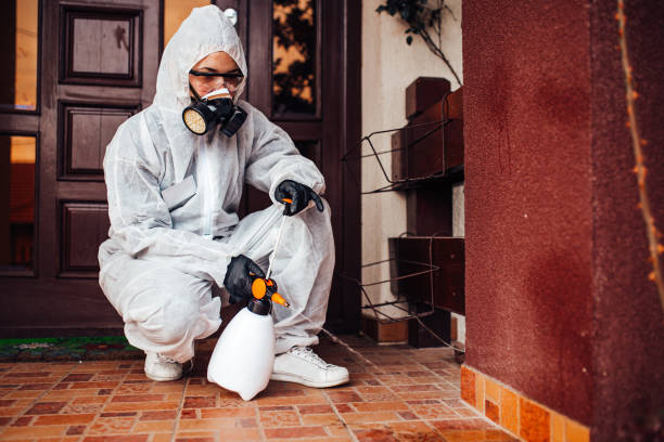 Reliable Mosquito Control contractor in Georgetown, DE by Show Me Pest Control