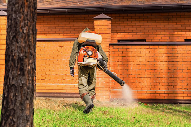 Top rated local Mosquito Control specialists in Georgetown, DE